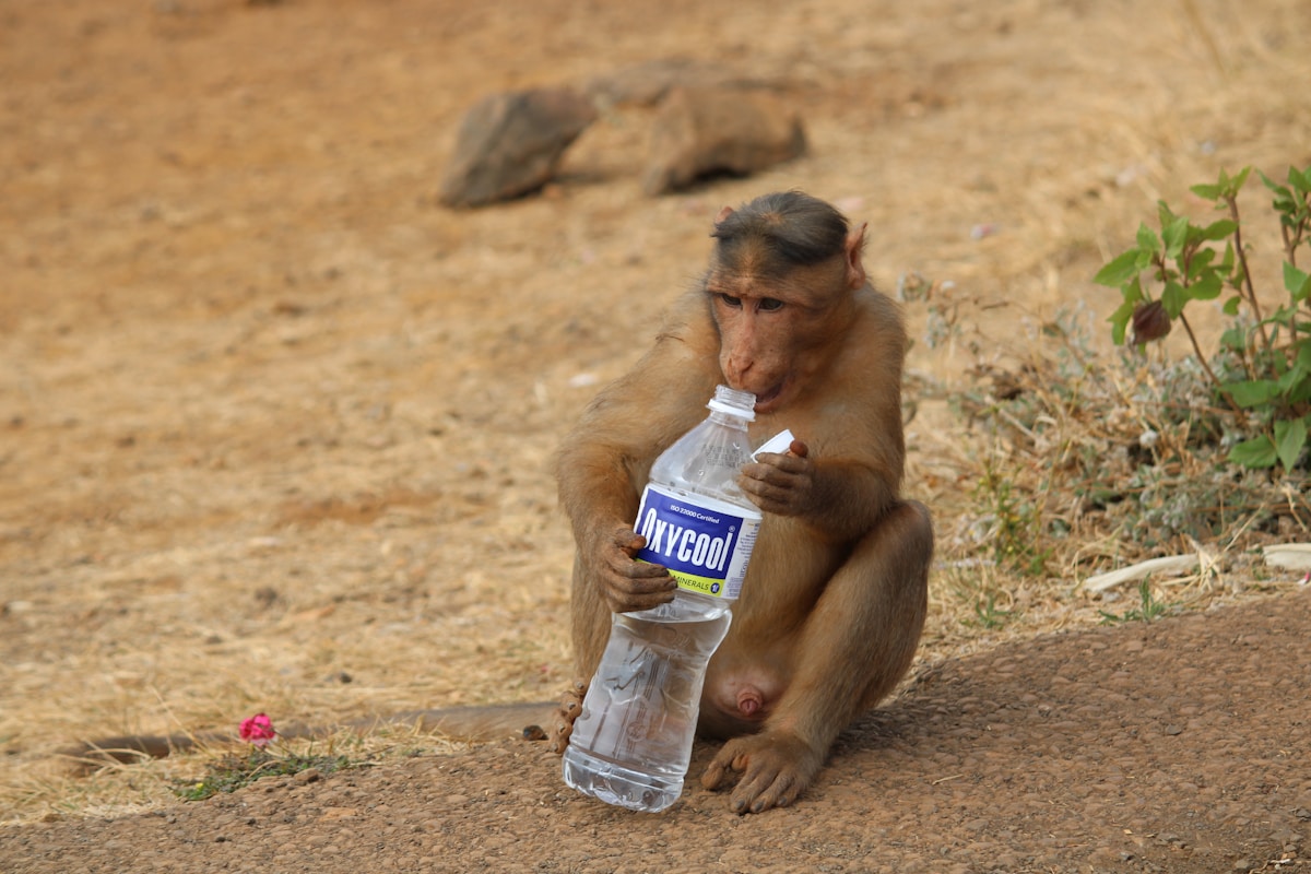 Stay Hydrated on the Go