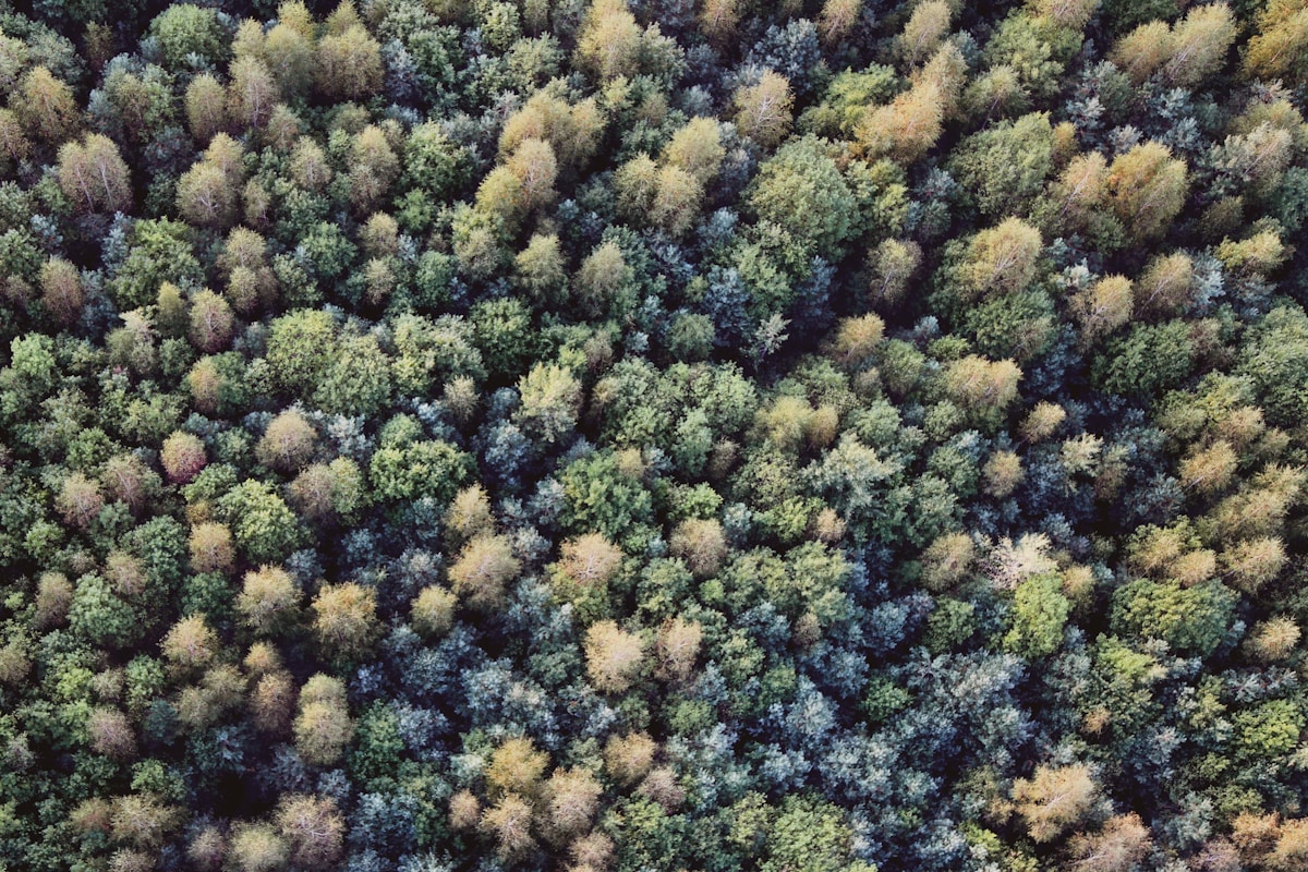 Eco-Friendly Choices